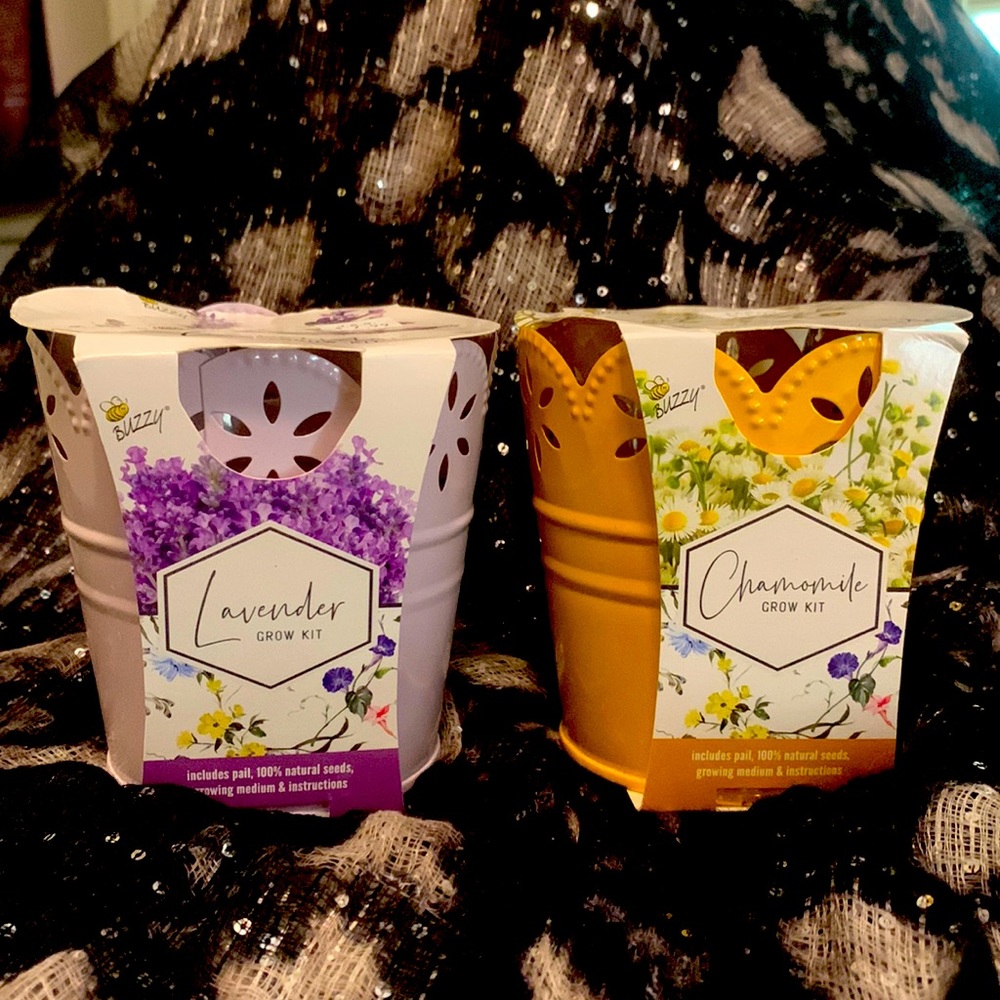 Lavender and Camomile grow kits